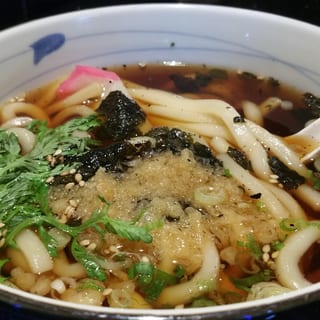 Plain Udon
