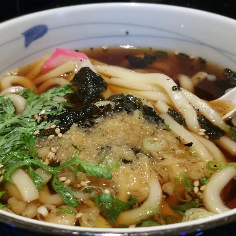 Delicious Udon Noodles